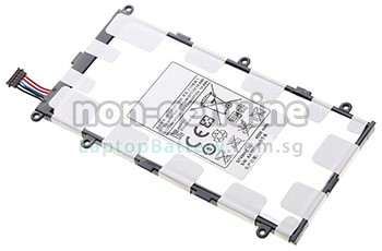 Battery for Samsung GALAXY TAB P6201 laptop