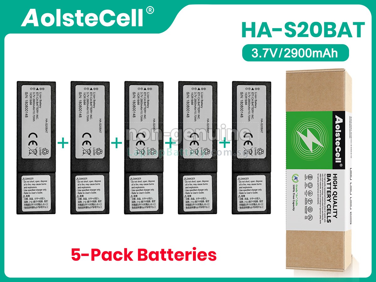 replacement CASIO DT-X400 battery