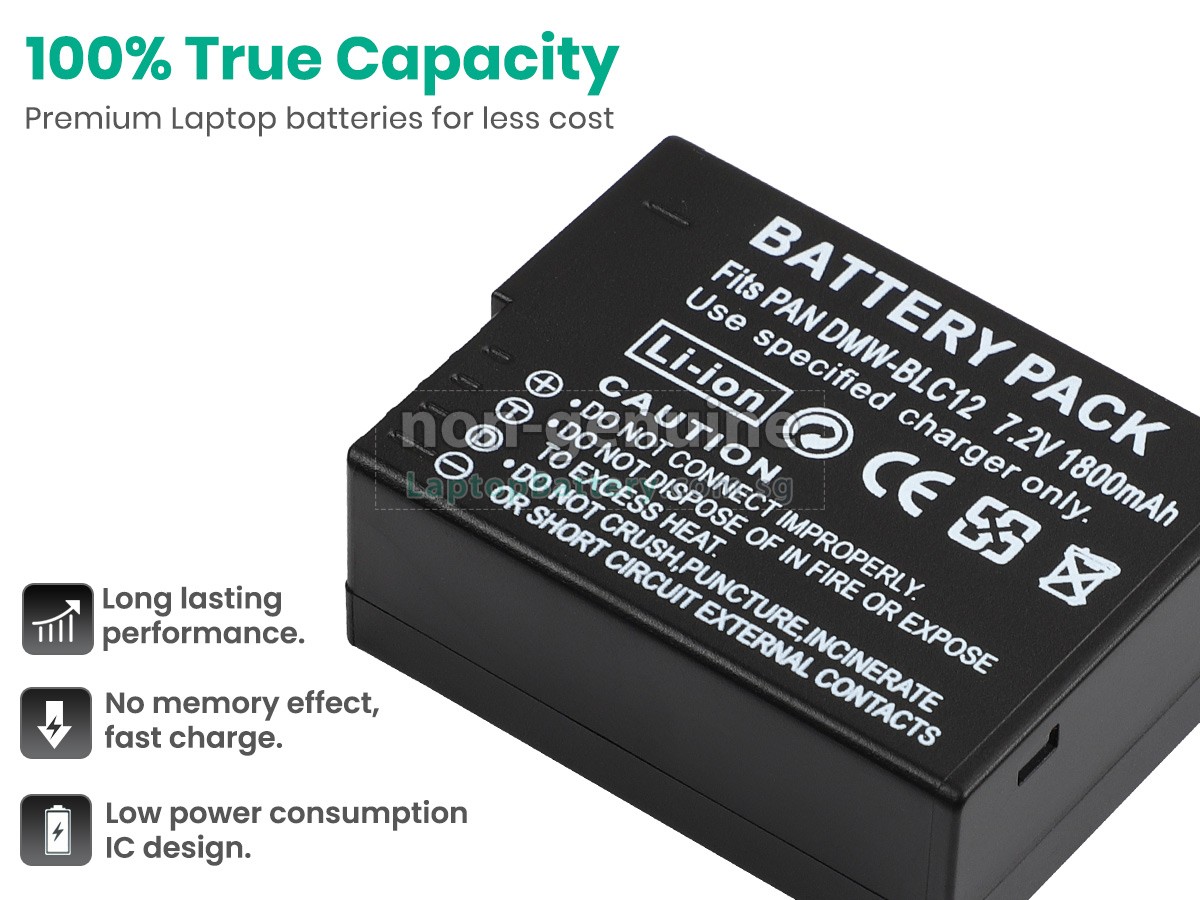 replacement Leica V-LUX 5 battery