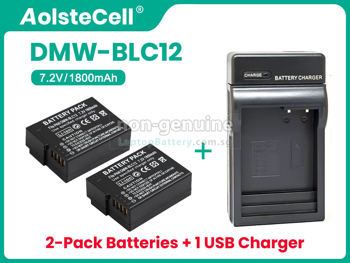 replacement Leica V-LUX 5 battery