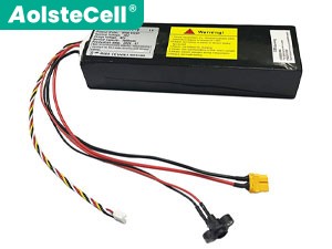 Battery for Segway Ninebot L6