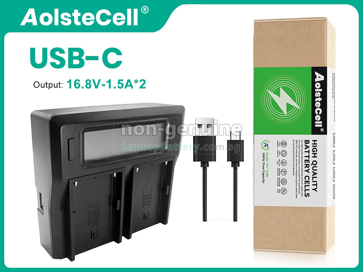 replacement Sony BP-U100 battery