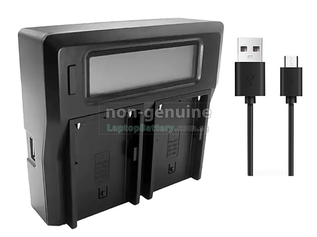 replacement Sony BP-U30 battery