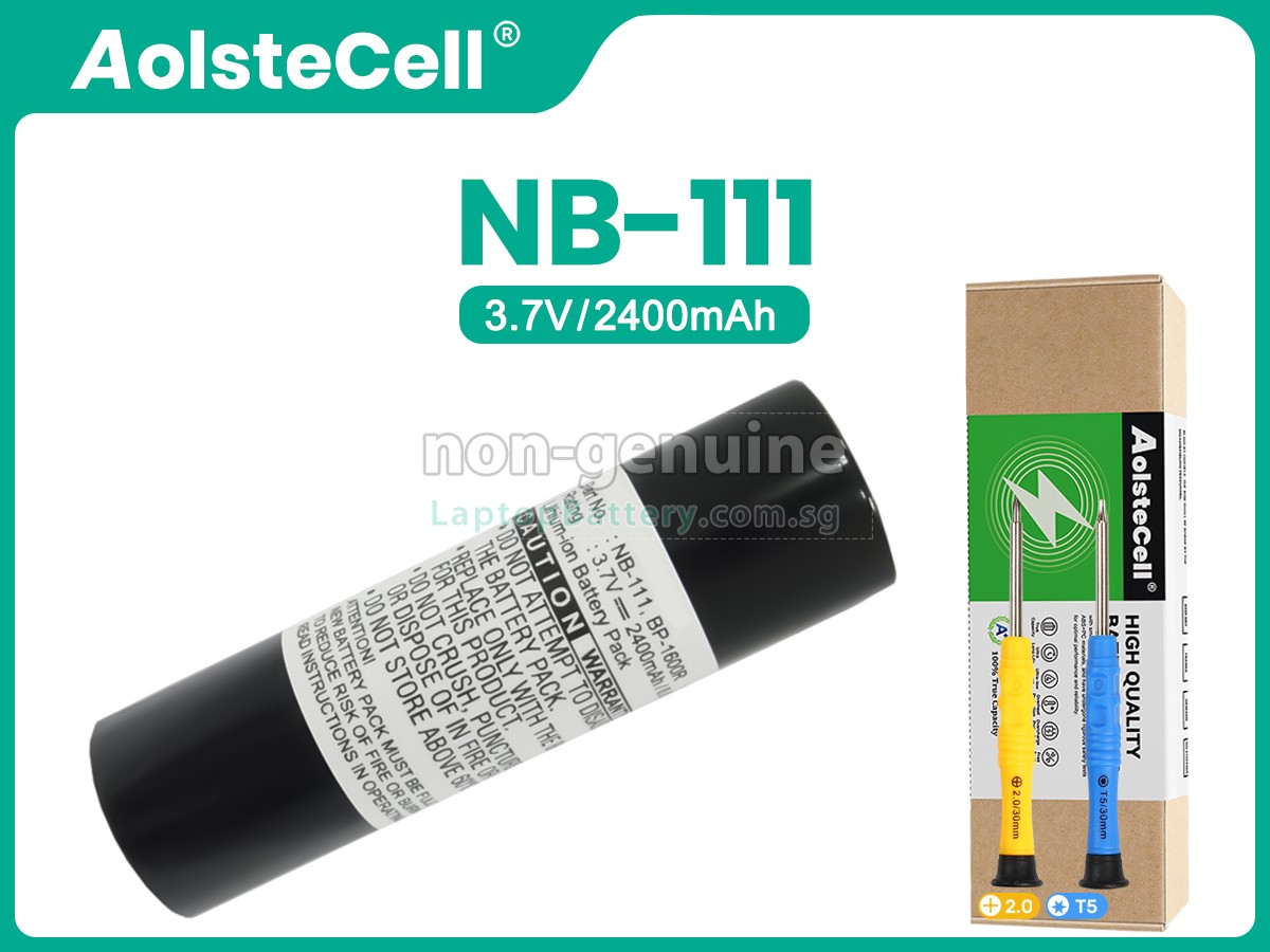 replacement Sony NB-111 battery