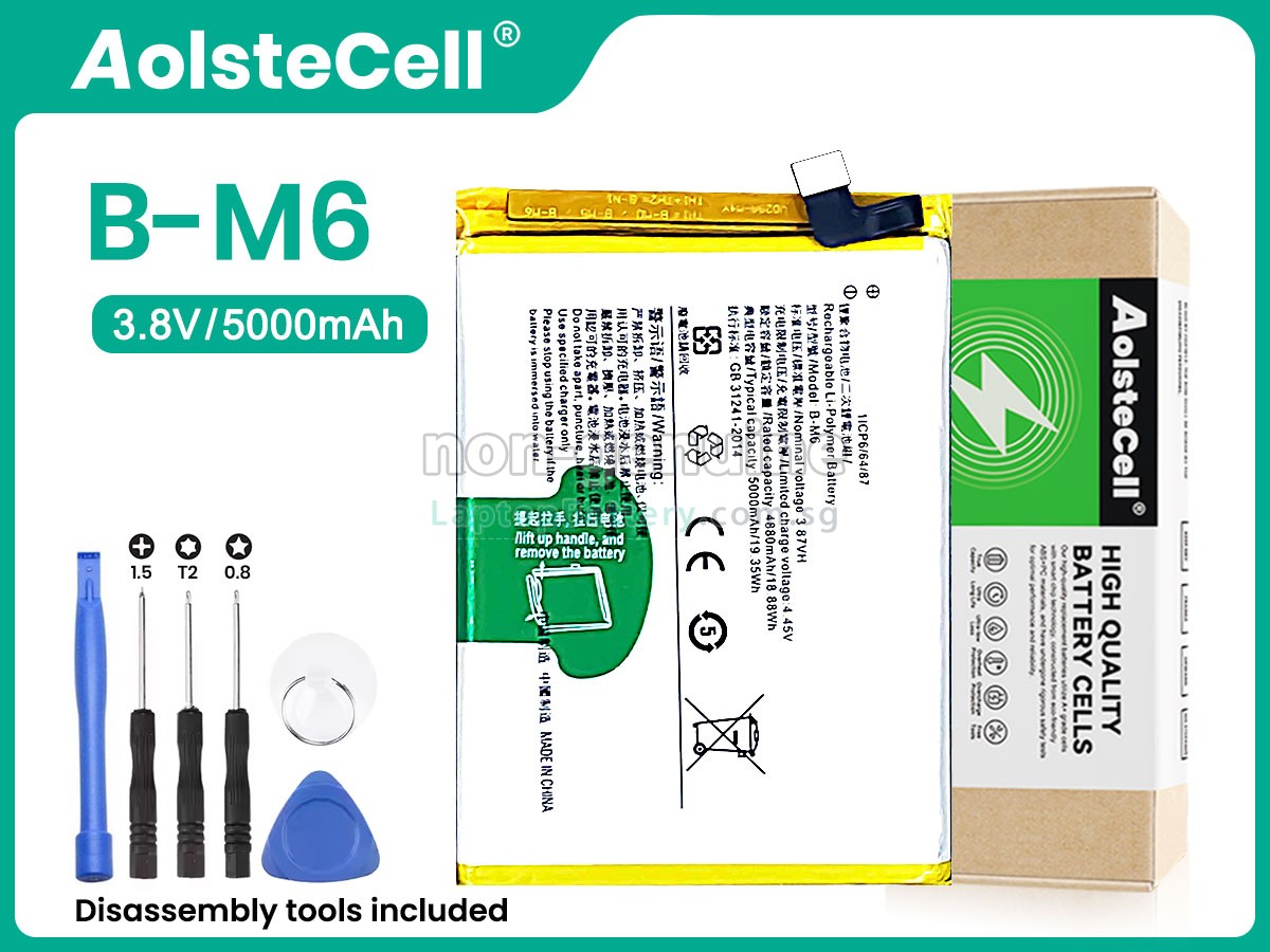 replacement Vivo B-M6 battery